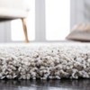 Hudson Shag SGH295 Power Loomed Indoor Rugs - Safavieh - 4 of 4