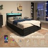 Sapphtopaz Metal Platform Bed Frame with 8 Storage Drawers, Stable Noise-Free Design for Space-Saving Bedrooms, Adults & Families - 4 of 4