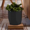 Bloem Tuxton 10.2"W x 9.8"H Modern Hexagon Small Gardening Planter, Black - 4 of 4