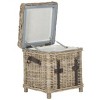 Kacia Side Trunk - SEA7023 - Brown - Safavieh - 4 of 4