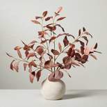 15" Faux Rusted Eucalyptus Fall Arrangement - Hearth & Hand™ with Magnolia
