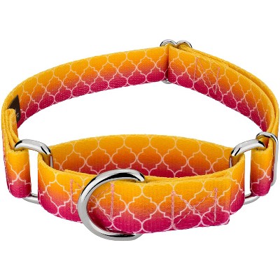 Country Brook Petz Martingale Dog Collar - Abstract Collection