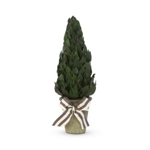 Park Hill Collection Lemon Leaf Cone Topiary 16" - 1 of 2