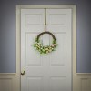 16" Eggs and Ferns Artificial Hanging Wreath - National Tree Company - 2 of 4