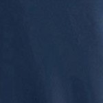 distressed field stripe navy / light gray