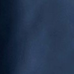 distressed field stripe navy / light gray