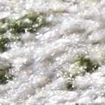 green, olive, navy, light brown