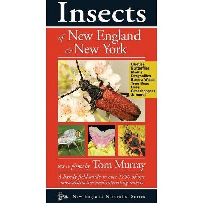 Insects of New England & New York - (Naturalist) by  Tom Murray (Paperback)