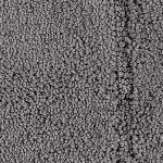 dark gray/light gray