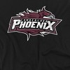 Cumberland University Distressed Primary Logo Kids T-Shirt For Youth Black - 2 of 4