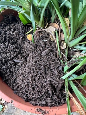 Guest review image 3 of 3, zoom in