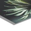 23" x 23" Warrior Succulent by Emiko and Mark Franzen of F2 Images Unframed Wall Canvas - Kate & Laurel All Things Decor - 3 of 4