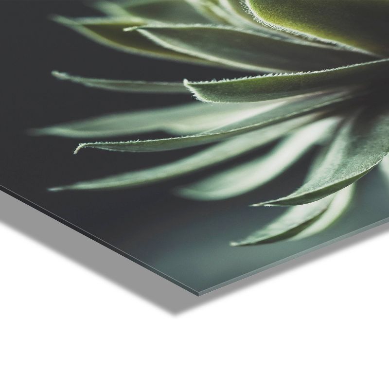 23&#34; x 23&#34; Warrior Succulent by Emiko and Mark Franzen of F2 Images Unframed Wall Canvas - Kate &#38; Laurel All Things Decor, 4 of 8