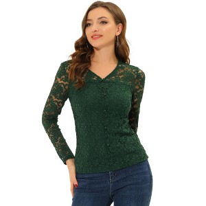 Allegra K Women's Lace V Neck Floral Embroidery Long Sleeve Sheer Blouse - 1 of 4