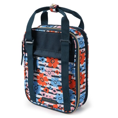 arctic zone expandable lunch box