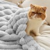 Bedsure Striped Flannel Fleece Blanket for Bed, Super Soft Throw Blanket for couch,Wider Striped Design - 4 of 4