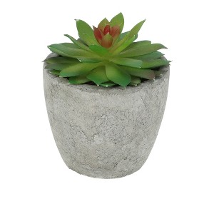 Unique Bargains Artificial Plants Mini Echeveria in Pulp 2.36"x2.36"x3.15" 1 Pc - 1 of 4