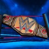 Bleacher Creatures WWE Universal Championship 24" Bleacher Buddy Belt - 4 of 4