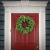 24" Artificial Ivy and Fern Woven Branch Base Wreath - National Tree Company - 2 of 3