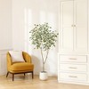 DR.Planzen 5-7FT Artificial Ficus Tree with Oval White Planter, Pre Potted Faux Greenry Plant with White Side Leaves for Home Decor - 2 of 4
