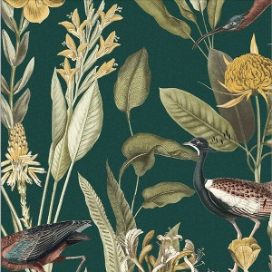 Glasshouse Green Birds Tropical Paste the Wall Wallpaper - 1 of 4