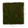 Nearly Natural 20-in X 20-in Artificial Moss Mat - 2 of 4
