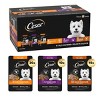 Cesar Chicken, Steak and Beef Flavor Variety Pack Wet Dog Food - 70.4oz/40ct - 2 of 4