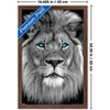 Trends International Reinders: Animals - Blue Eyed Lion Framed Wall Poster Prints - 3 of 4