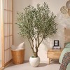 DR.Planzen Lifelike 6ft Artificial Olive Tree with Dual Trunk Design, White Round Planter Faux Olive Tree for Indoor Outdoor Home Decor - 4 of 4
