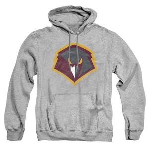Men's University Of Charleston Distressed Primary Logo Pull-Over Hoodie - 1 of 4