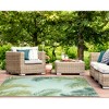 Liora Manne Marina Traditional Indoor/Outdoor Rug.. - 4 of 4