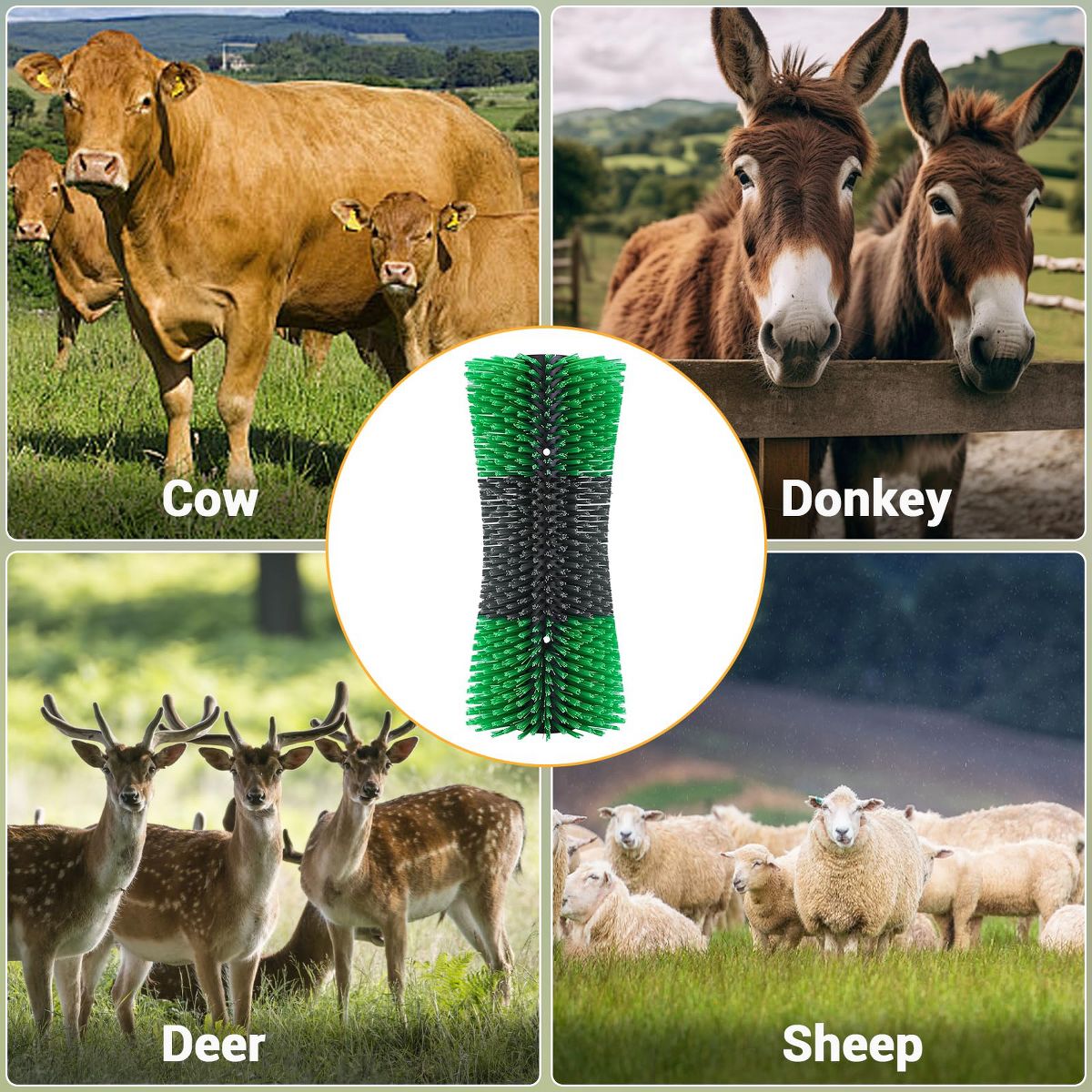 Livestock Scratching Brush, Horse Brushes for Grooming, Itch Relief Horse Scratcher Brushes Kit - thumbnail 4