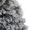 Northlight 4.5' Flocked Black Spruce Artificial Christmas Tree - Unlit - 4 of 4