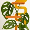 WE THE WILD Small Houseplant Grow Pole Powder Coated Steel - 4 of 4