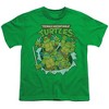 Teenage Mutant Ninja Turtles Retro Group Youth T Shirt, Kelly Green - 2 of 4