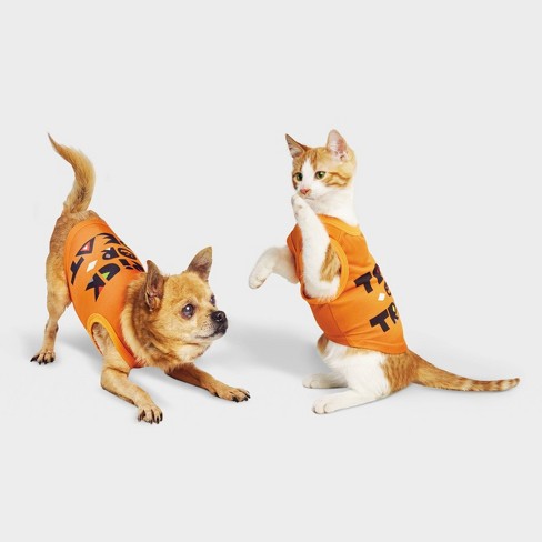 Pet Jerseys : Dog Clothes & Dog Costumes : Target