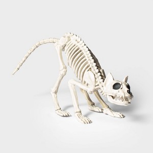 21" Cat Skeleton Halloween Decorative Prop - Hyde and EEK! Boutique™: Indoor/Outdoor Eerie Decor - 1 of 3