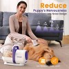 Oneisall LM5 Low-Noise Dog Grooming Vacuum - 12KPa Pet Hair & Home Cleaning Kit - 3 of 4