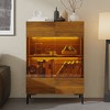 Famapy Bookshelf Contemporary Display Cabinet with Warm Light and Glass Front Multifunctional Bookcase Storage Cabinet - 4 of 4