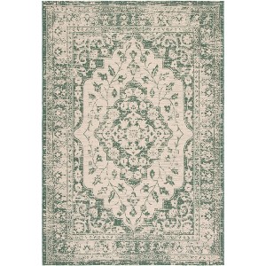 Courtyard CY6231 Power Loomed Indoor/Outdoor Area Rug  - Safavieh - 1 of 4