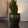 Pro Track Upland Set of 4 Can Mini Uplighting Indoor Accent Spot-Lights Plug-In Floor Plant Home Decorative Art Desk Picture Black Finish 6 1/2" High - 2 of 4