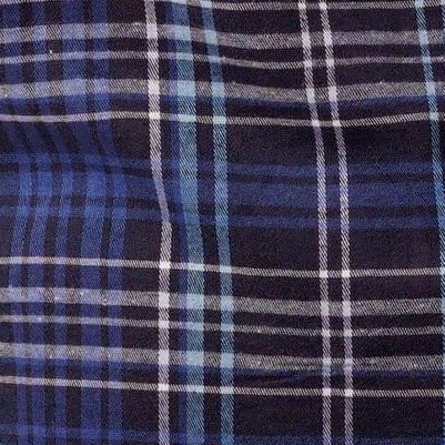 blue - plaid