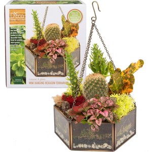 D'Eco Glass Geometric DIY Terrarium, Succulent & Air Plant- Hanging Mini Hexagon Shaped for Indoor Gardening Decor- Create Your own Centerpiece - 1 of 3