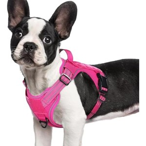 rabbitgoo No Pull, , Adjustable and Reflective Military Harness for Easy Walking and Training, Rose Red, S - 1 of 1