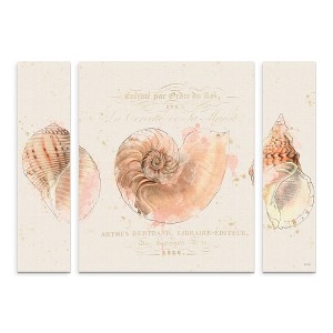 Trademark Fine Art -Katie Pertiet 'Shell Collector I' Multi Panel Art Set - 1 of 1