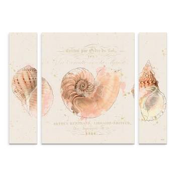 Trademark Fine Art -Katie Pertiet 'Shell Collector I' Multi Panel Art Set