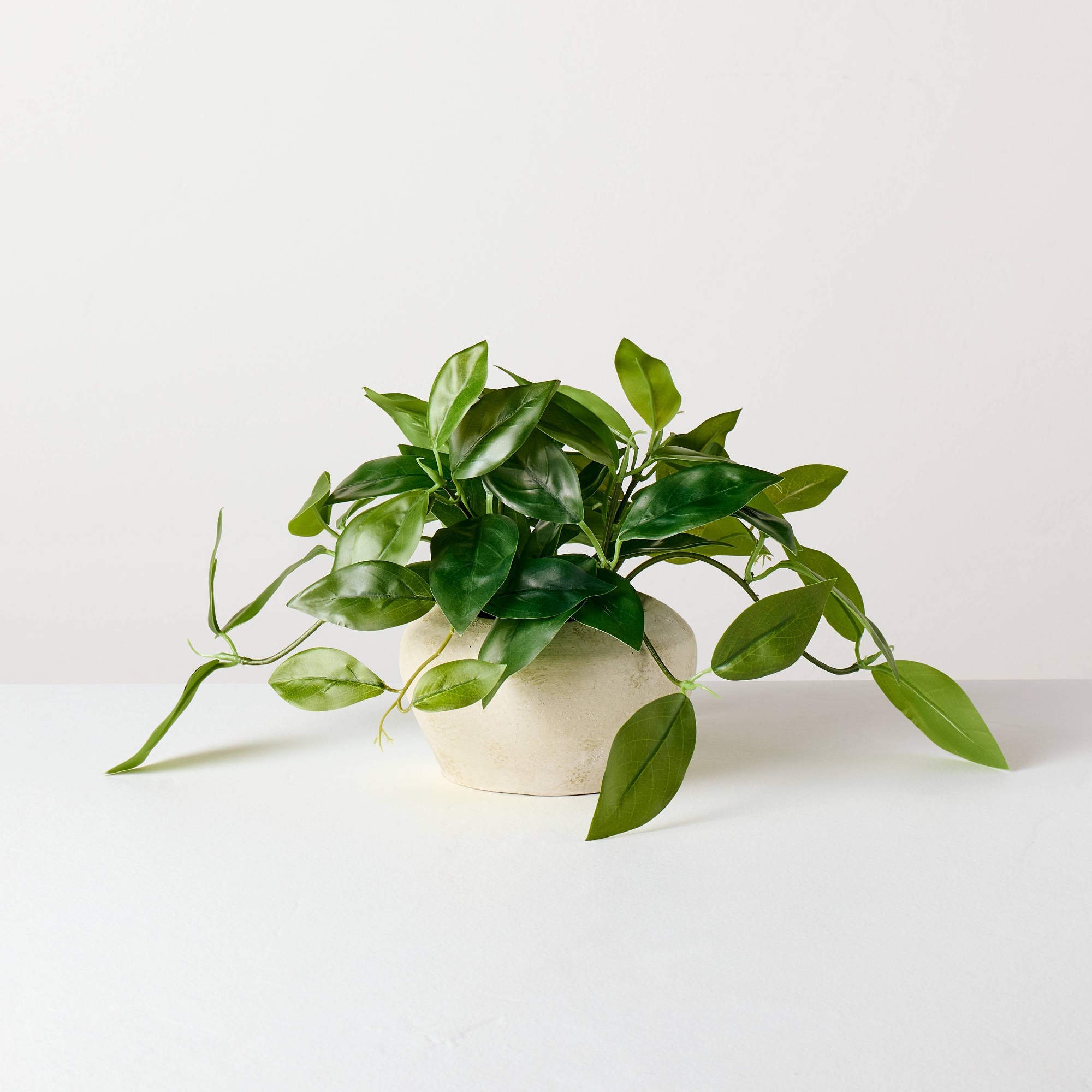8.5" Small Trailing Hoya Leaf Potted Artificial Plant - Hearth & Hand™