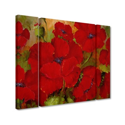 Trademark Fine Art - Rio 'Poppies'