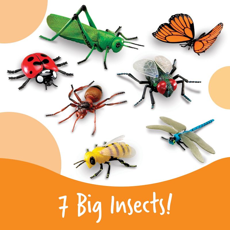 Learning Resources Jumbo Insects, Fly, Ant, Bee, Ladybug, Grasshopper, Butterfly, and Dragonfly, 7 Insects, 2 of 7