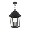 Livex Lighting Hamilton 3 - Light Pendant in  Black - 2 of 4